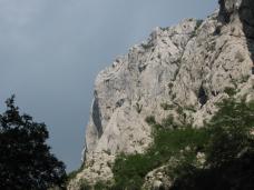 Odpri povezavo